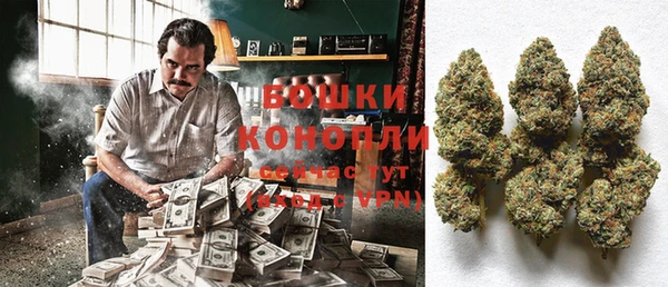 дживик Горняк