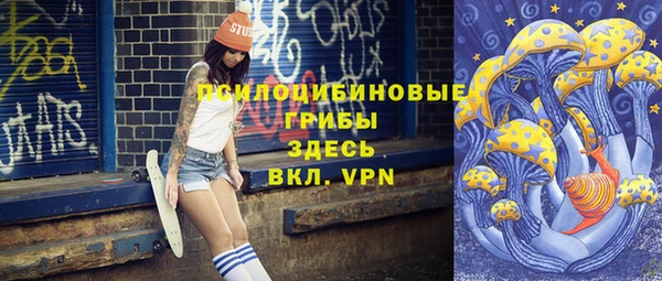 дживик Горняк