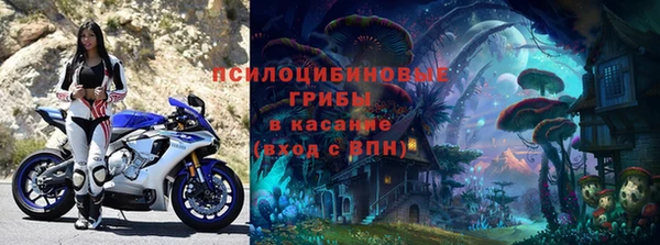 дживик Горняк
