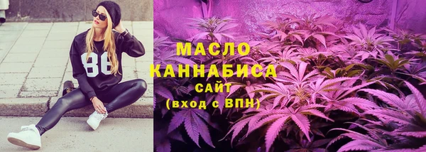 дживик Горняк
