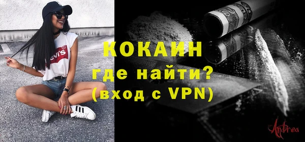 дживик Горняк