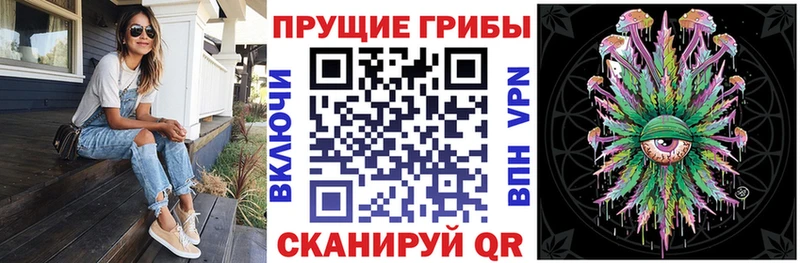 купить   Лермонтов  Галлюциногенные грибы мухоморы 