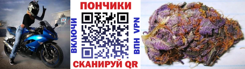 Канабис гибрид  Лермонтов 